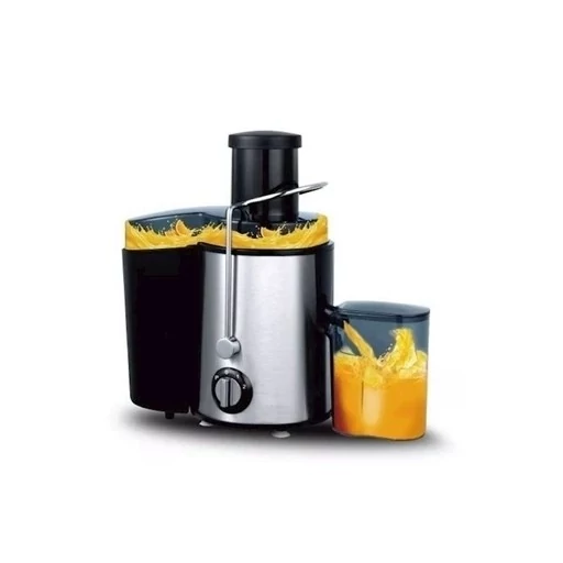 آبمیوه گیر 1000 وات راف مدل R.2817S