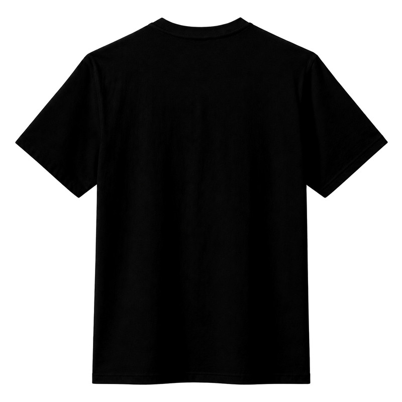 تیشرت آستین کوتاه مردانه مدل A88 طرح محرم حسین