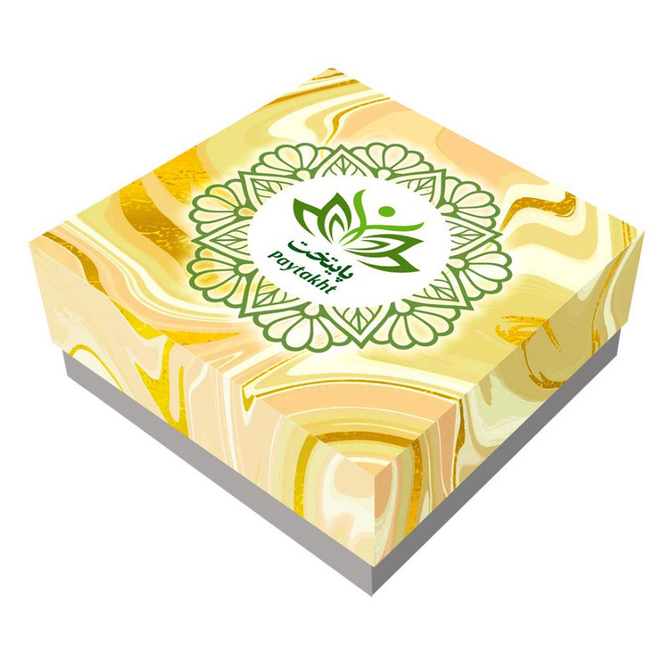پیرسینگ گوش زنانه پایتخت مدل PS1090 مجموعه 4 عددی