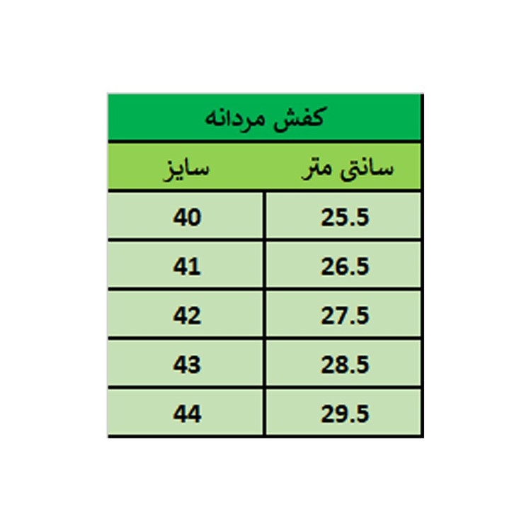 کفش مردانه مدل Soren کد pnt 2021