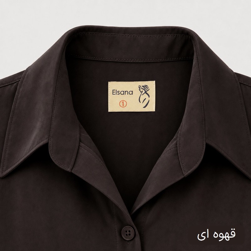 شومیز زنانه السانا مدل جسیکا کد 2723