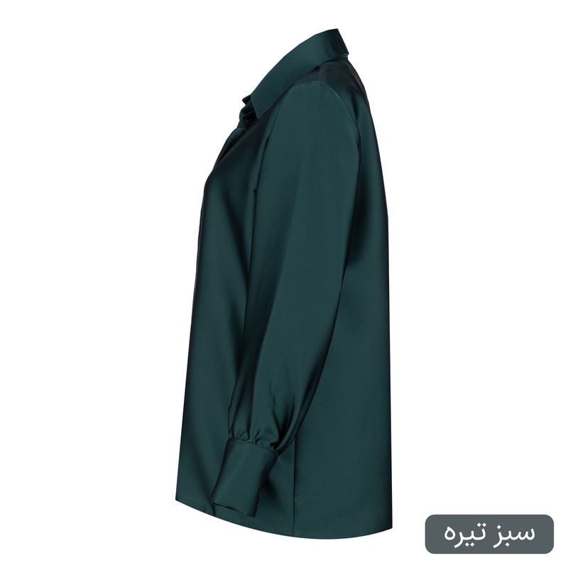 شومیز زنانه السانا مدل ریماس کد 1725
