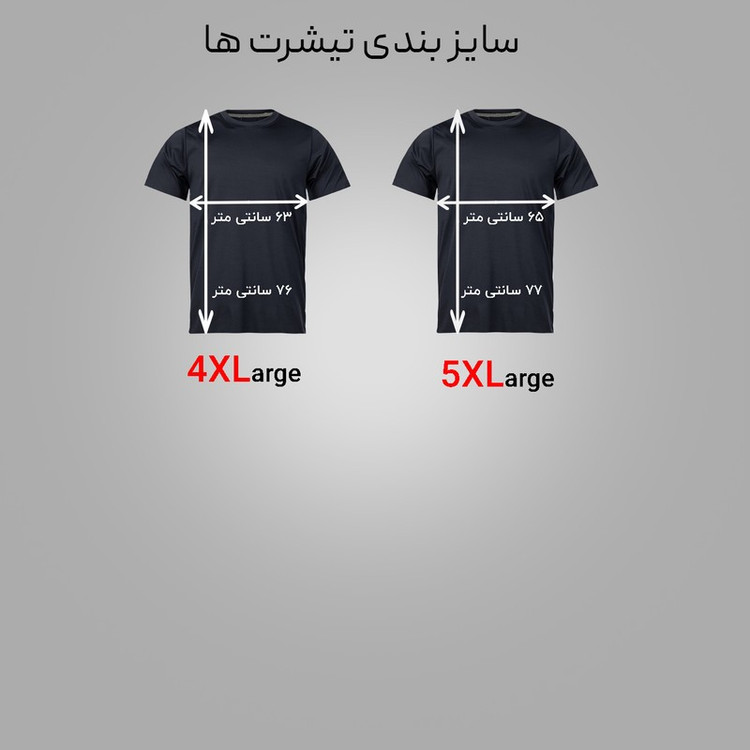 تی شرت آستین کوتاه مردانه مدل 1030 N1 بسته 2 عددی