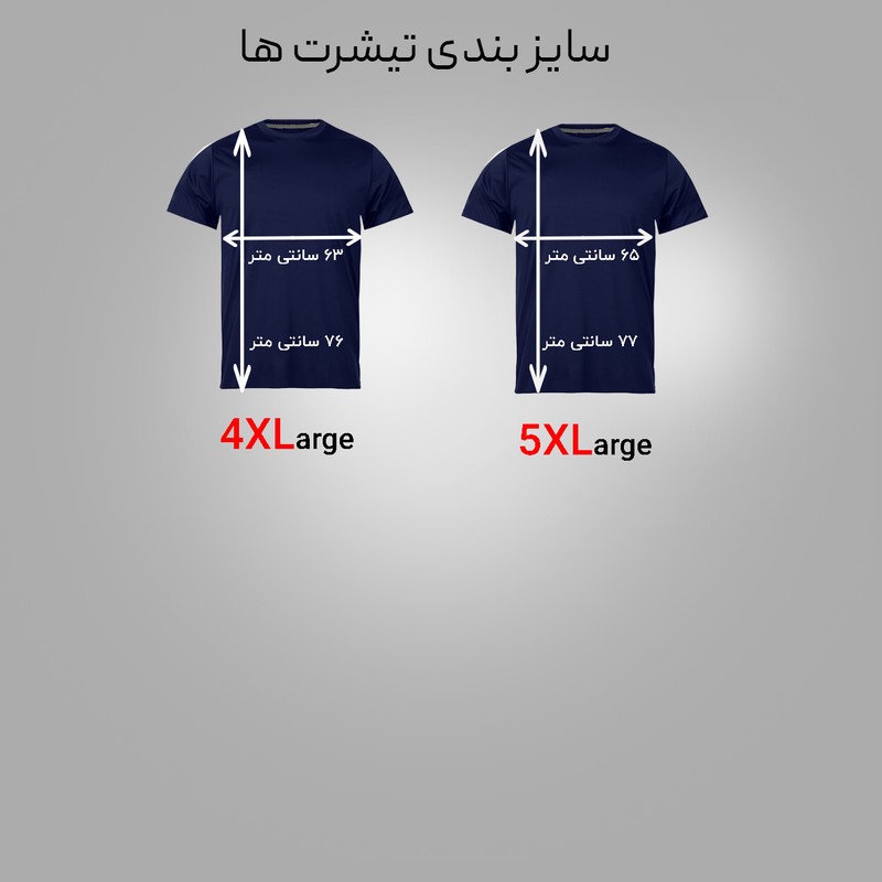 تی شرت آستین کوتاه مردانه مدل بسکتبال 2 کد N1 0364