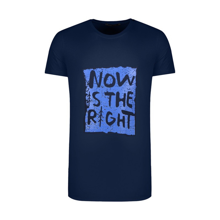 تی شرت آستین کوتاه یقه گرد مردانه لیکک مدل 11420
