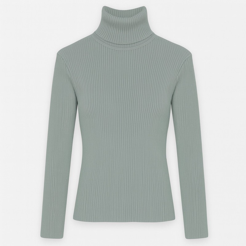 پلیور یقه اسکی زنانه مدل B10036