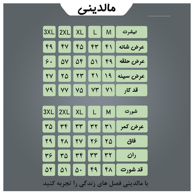 ست تی شرت و شلوارک ورزشی مردانه مدل set008