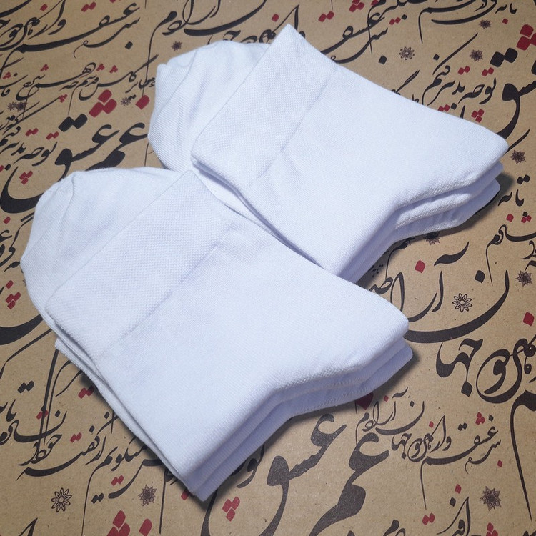جوراب ساق کوتاه مردانه لنتر طرح ساده کد Ruellia مجموعه 6 عددی
