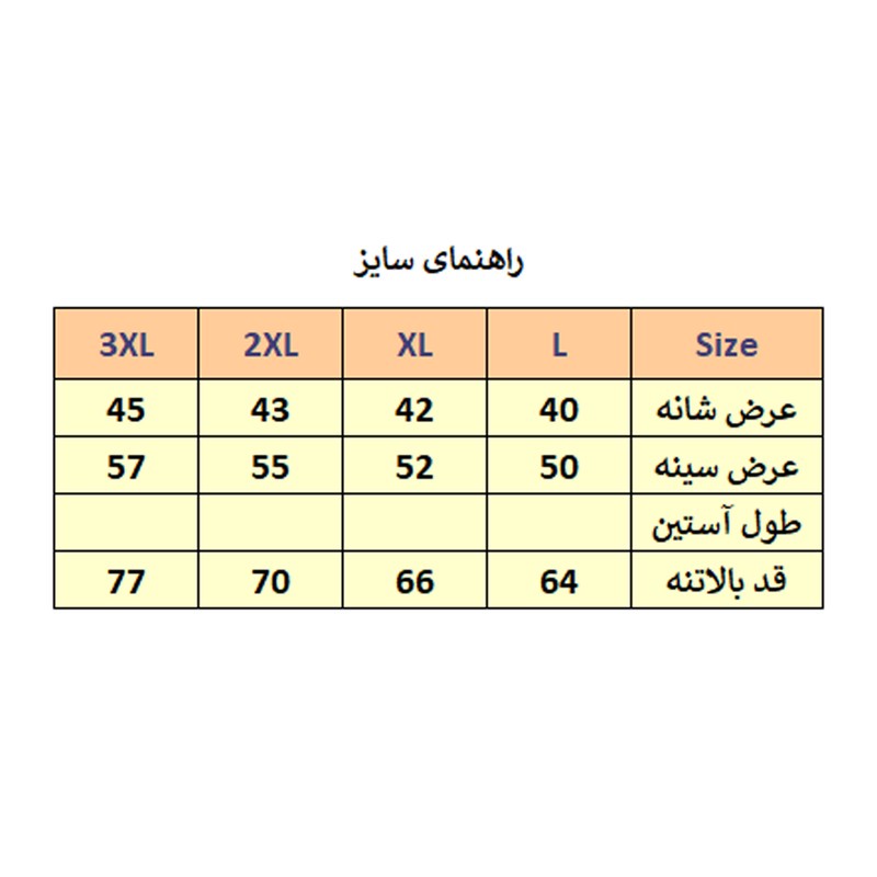 پافرمردانه مدل FR کد M2655