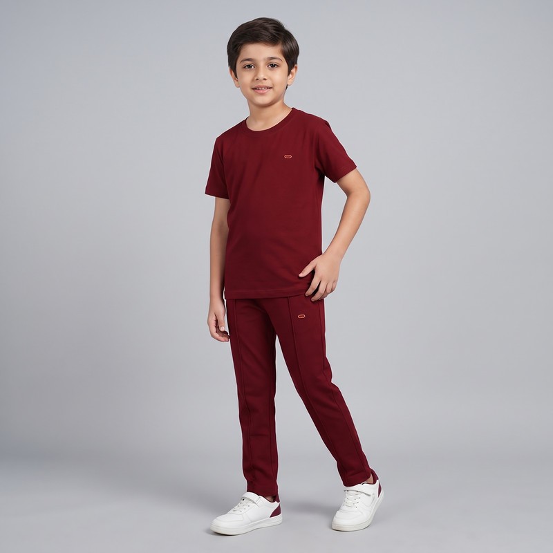 ست تیشرت آستین کوتاه و شلوار راحتی پسرانه مادر مدل Dino کد 2509951