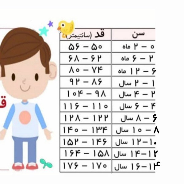 جوراب شلواری دخترانه مدل داخل کرک کد 21078832