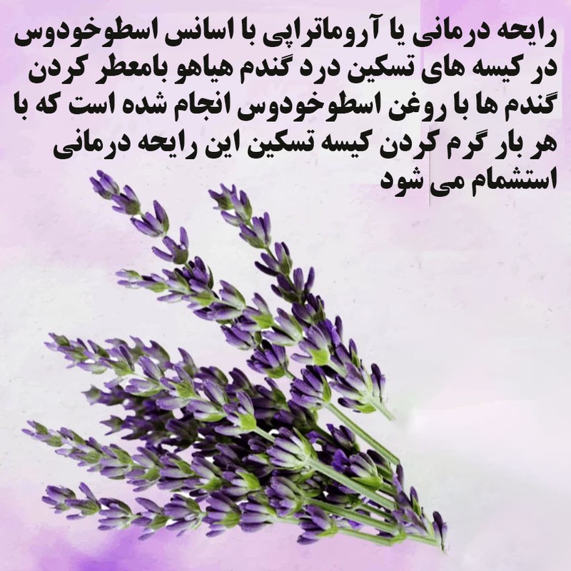 کیسه تسکین درد هیاهو مدل آروماتراپی اسانس اسطوخودوس کد Wheat-35x35-C