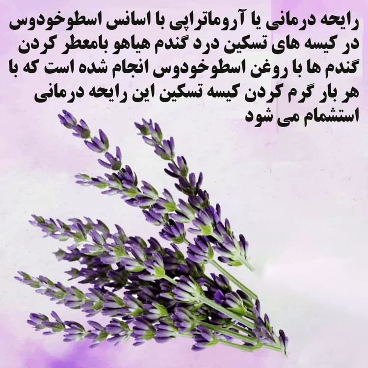 کیسه تسکین درد هیاهو مدل آروماتراپی اسانس اسطوخودوس کد Wheat-35x30