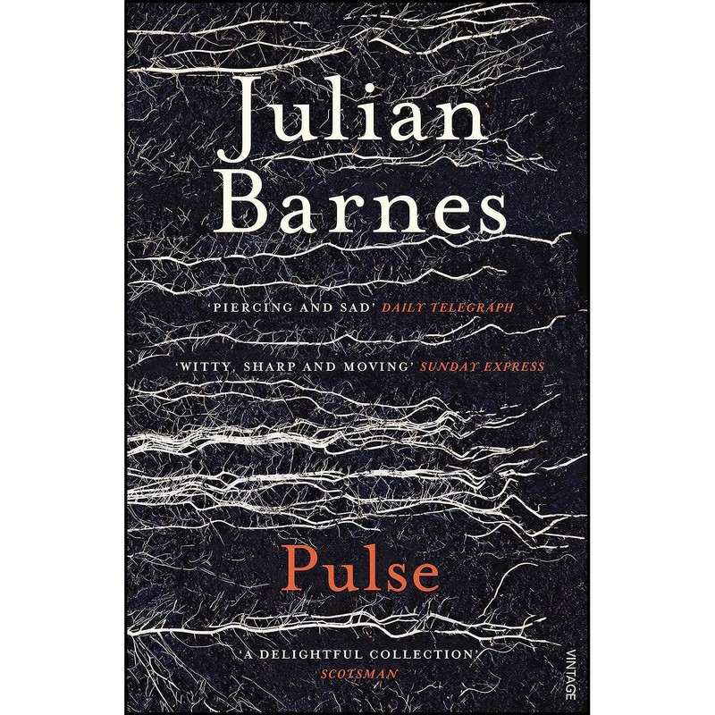 کتاب Pulse اثر Julian Barnes انتشارات Vintage Books