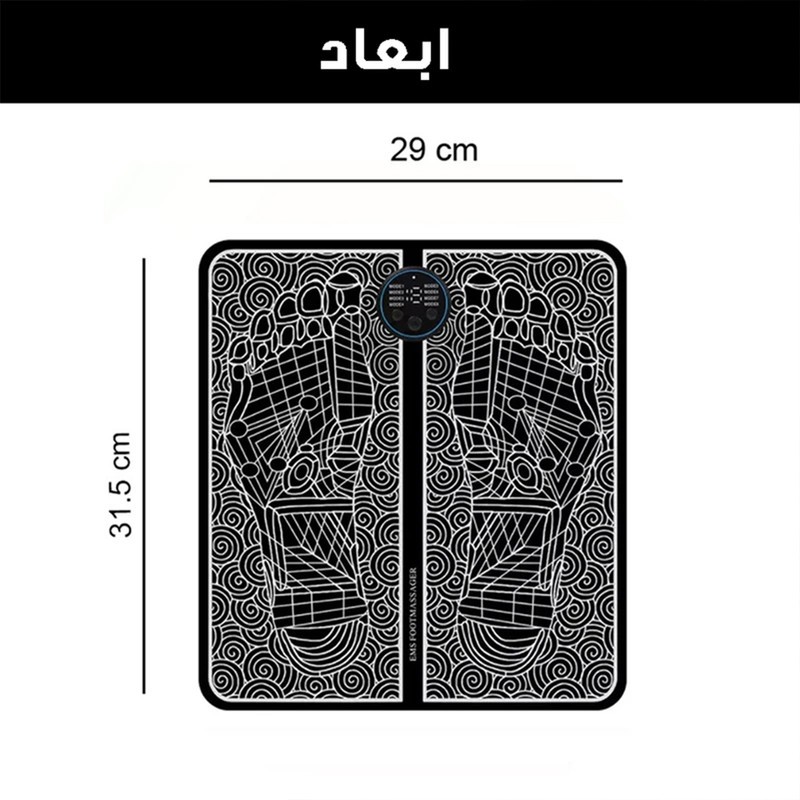 ماساژور برقی مدل EMS کد FM-RIMO