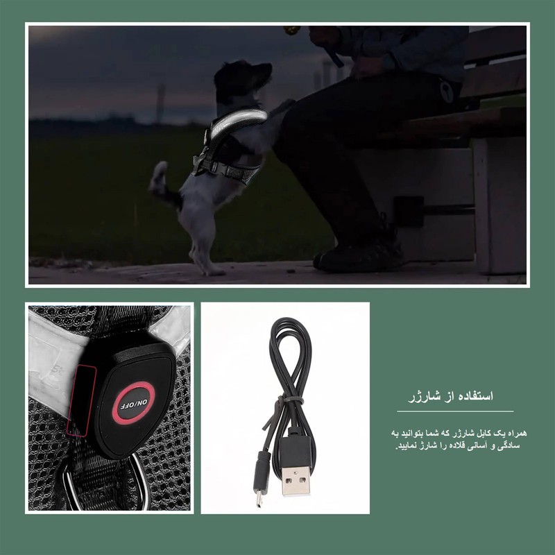 قلاده طرح چراغدار مدل FH01 BK