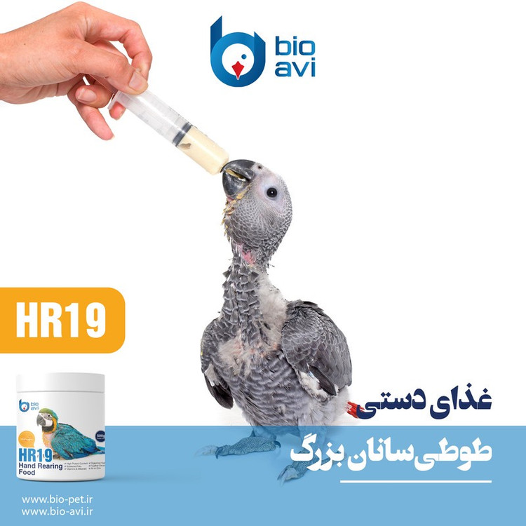 غذای کمکی طوطی سانان بایو اوی مدل HR19 وزن 500 گرم
