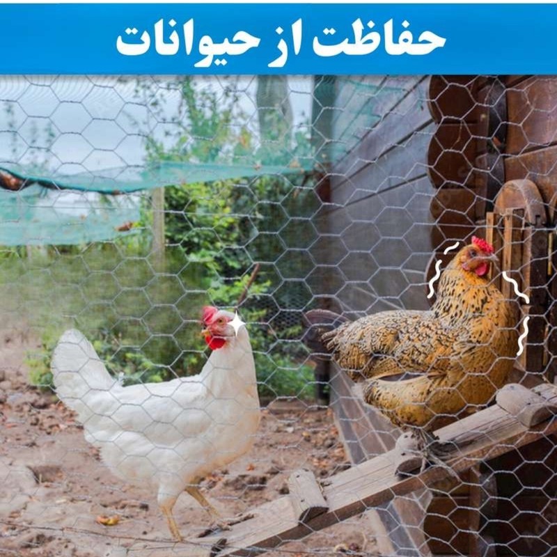 توری مرغی مدل فرنگی H180 طول 20 متر