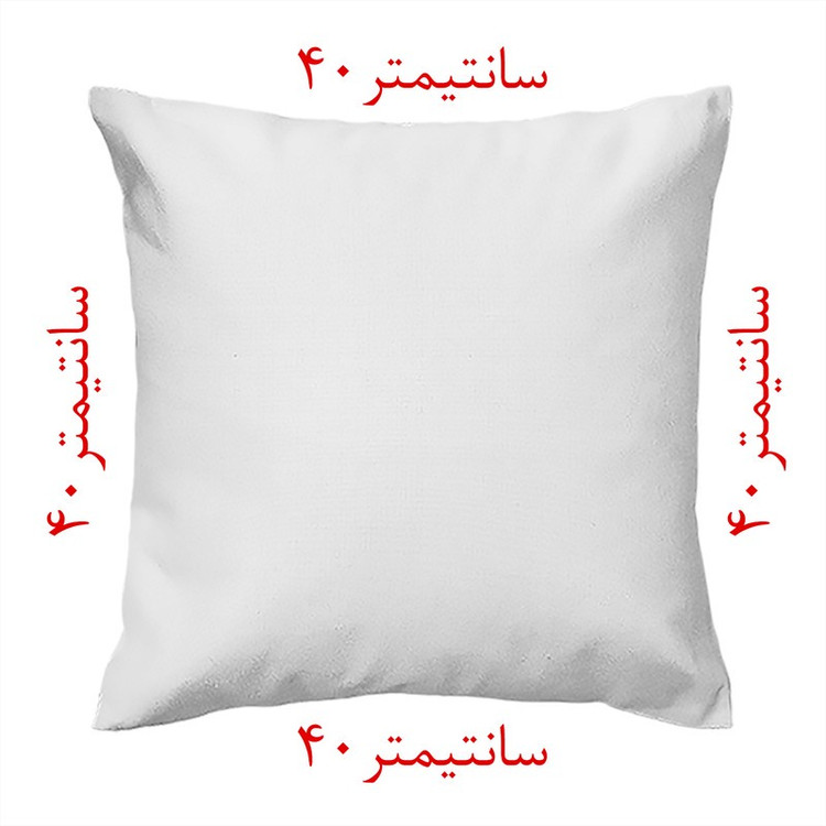 کاور کوسن مدل ژاکارد co40-244