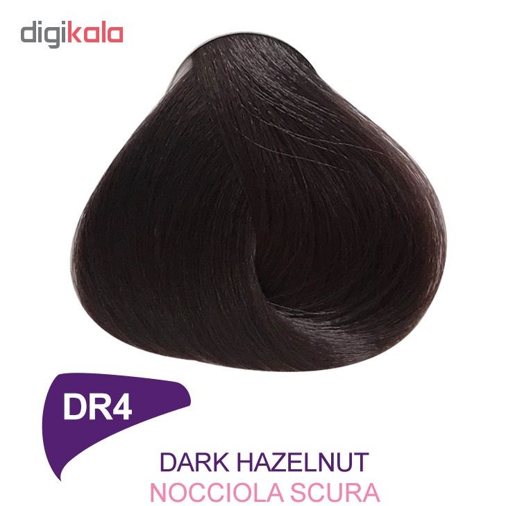 رنگ مو دینوری سری Professional شماره DR4 حجم 100 میلی لیتر رنگ فندوقی